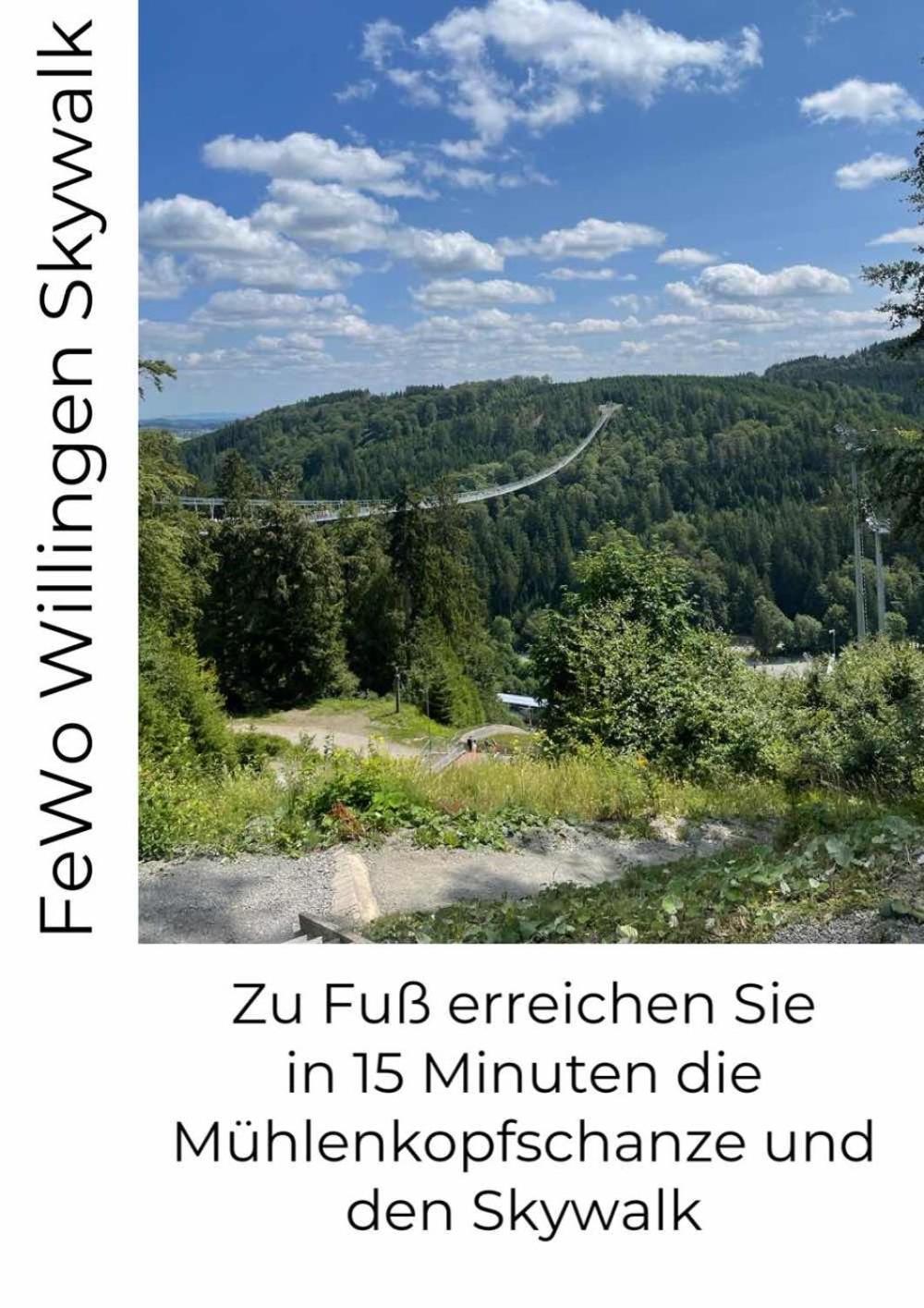 Fewo Skywalk Willingen Stryck Exterior photo