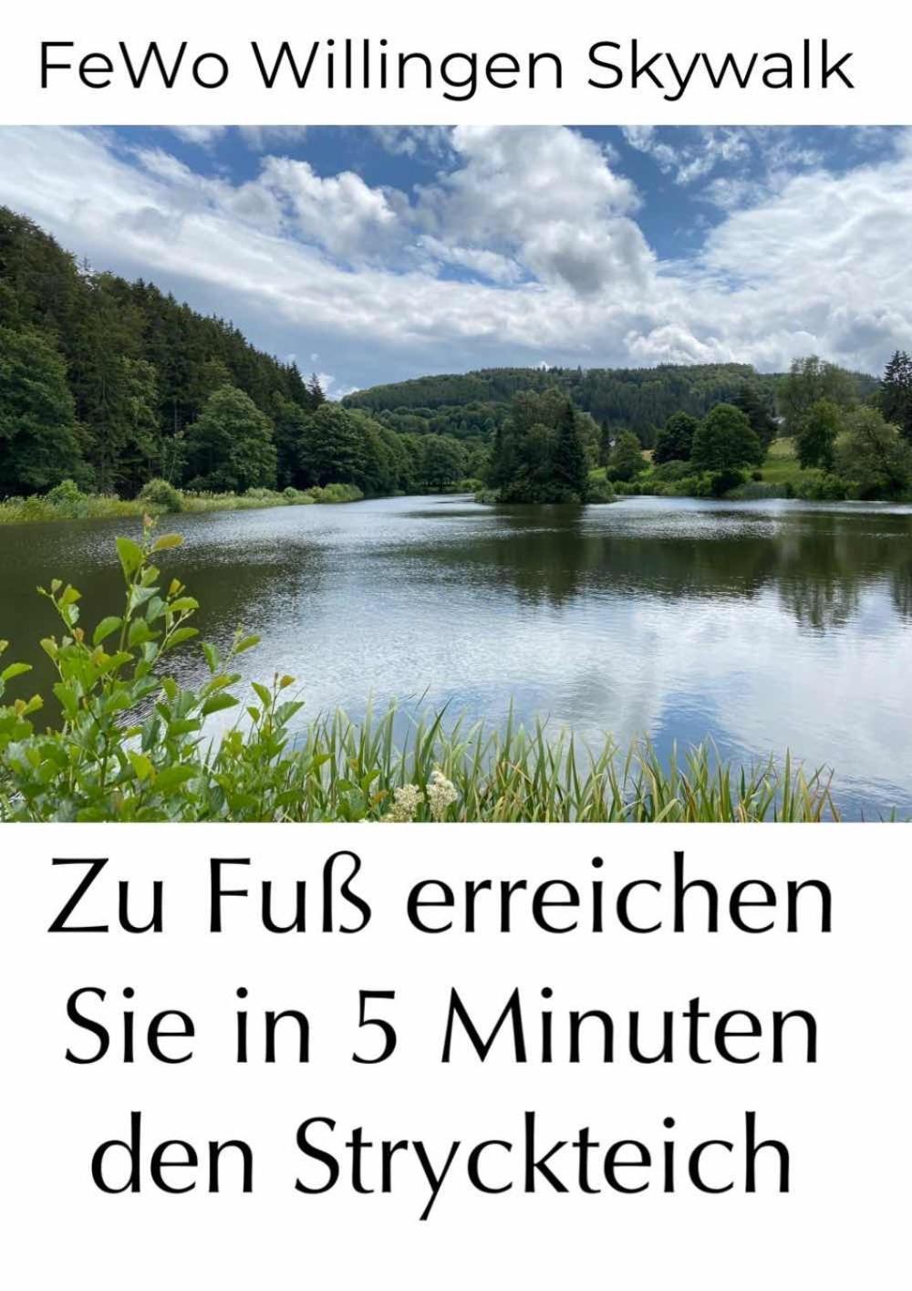 Fewo Skywalk Willingen Stryck Exterior photo